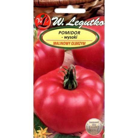 Pomidor malinowy Olbrzym - Solanum lycopersicum
